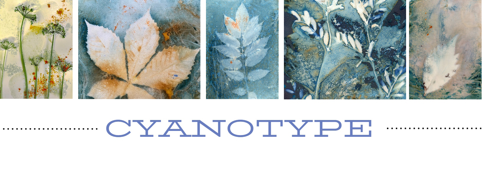 Cyanotype printing on Fabric – Jane Hewitt
