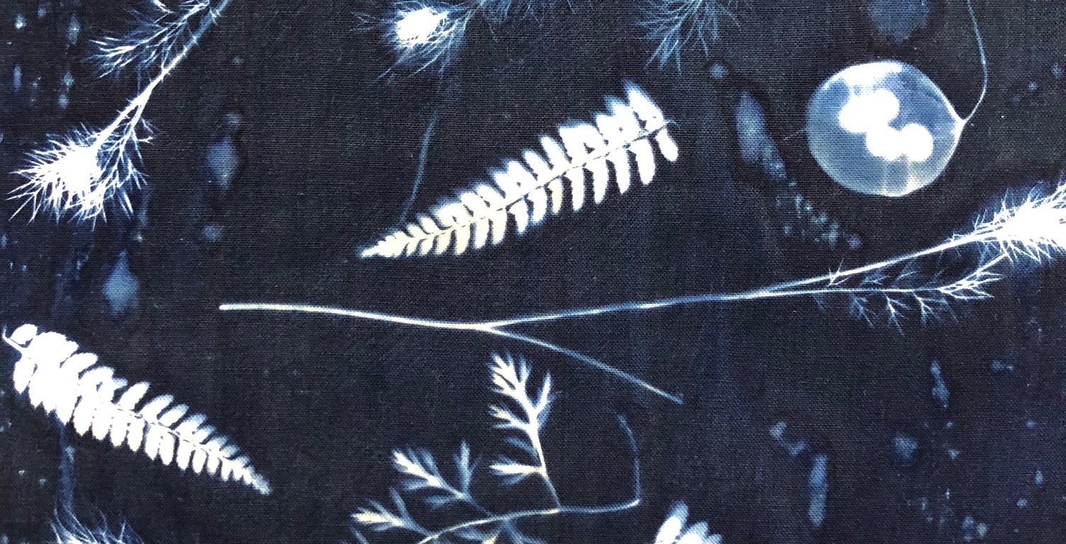 Cyanotype printing on Fabric – Jane Hewitt